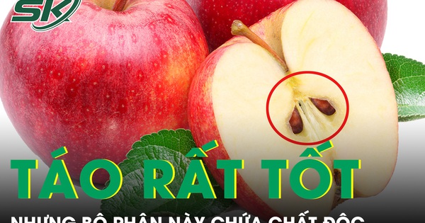 Táo rất tốt cho sức khoẻ nhưng bộ phận này không nên ăn nhiều vì chứa chất độc