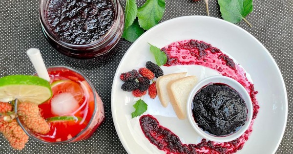 5 biến tấu món ăn ngon miệng từ quả dâu tằm