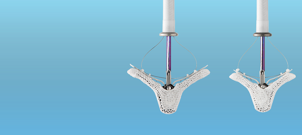 Abbott và vai trò công nghệ trong quản lý sức khỏe chủ động tại Việt Nam- Ảnh 2.