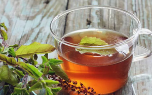 3 loại lá thông dụng hỗ trợ điều trị tăng huyết áp