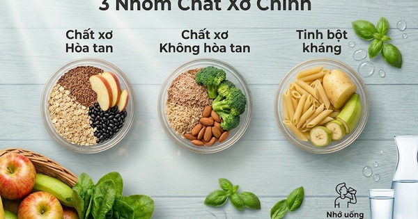 Có 2 hay 3 loại chất xơ thiết yếu và tại sao cần bổ sung đủ?