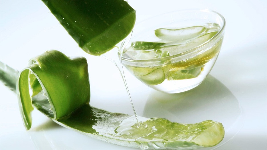 3 tác dụng của gel lô hội đối với tóc và da đầu- Ảnh 2. 3 tác dụng của gel lô hội đối với tóc và da đầu- Ảnh 2.