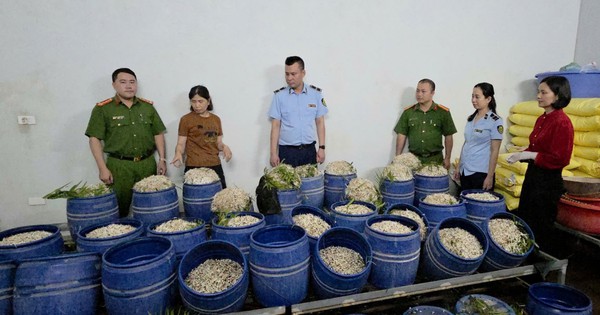 Quảng Ninh: Chủ tịch UBND xã, phường chịu trách nhiệm toàn diện về an toàn thực phẩm trên địa bàn