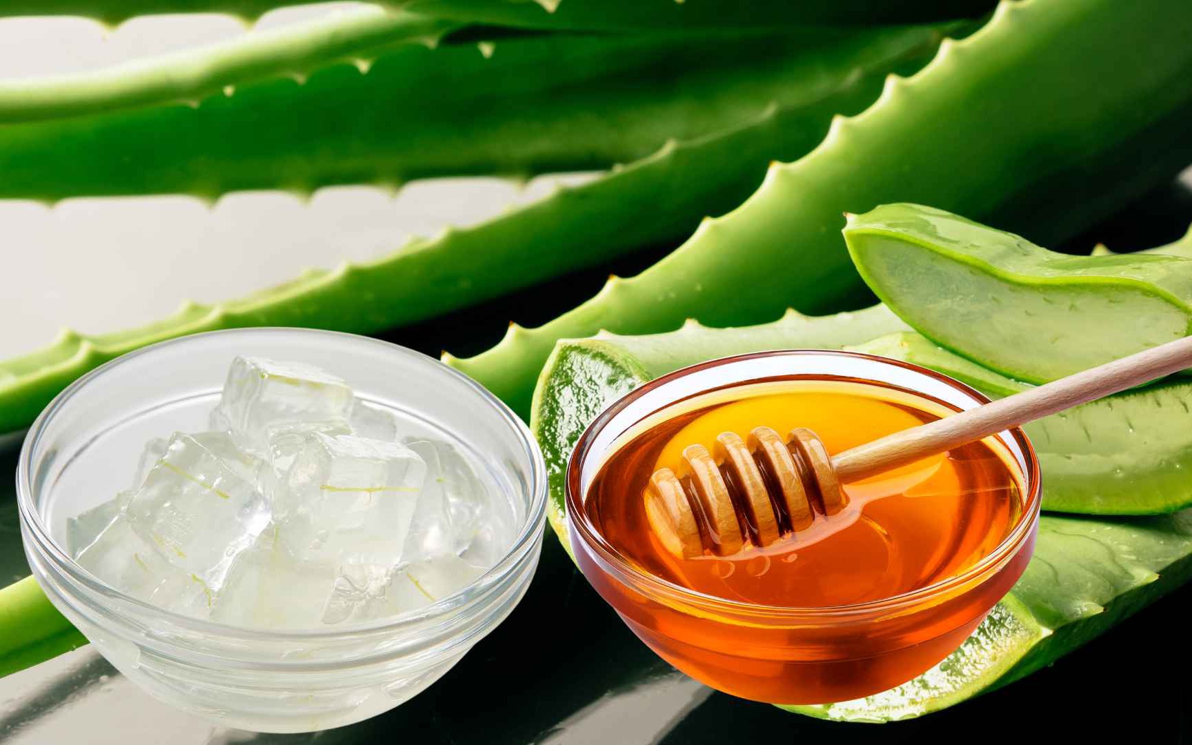 3 tác dụng của gel lô hội đối với tóc và da đầu- Ảnh 3.