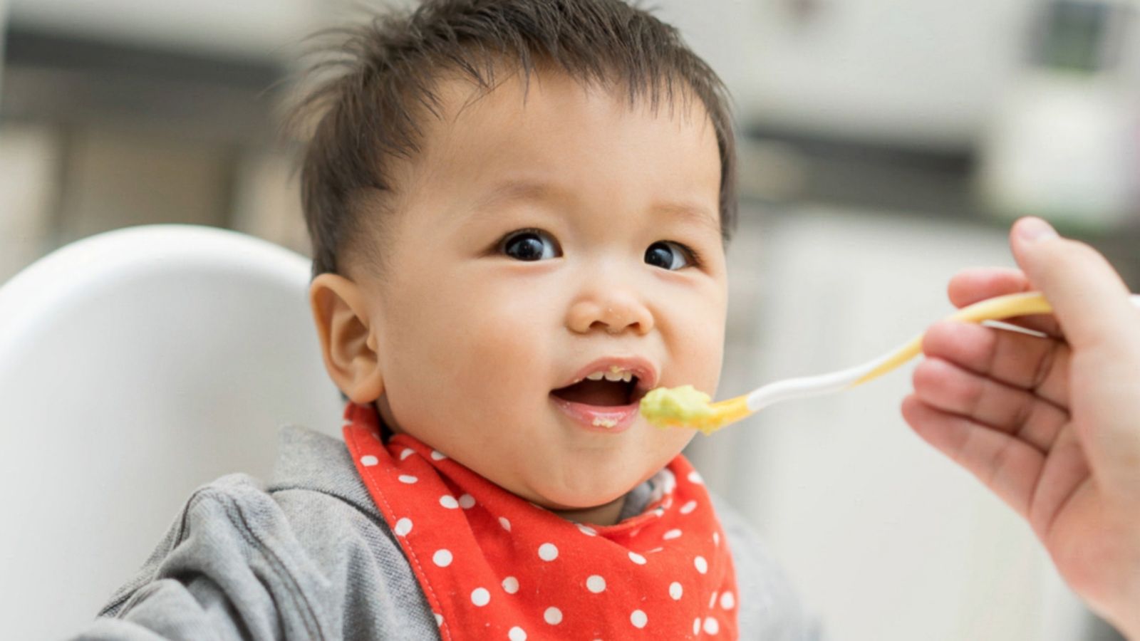 Cho trẻ ăn mỡ lợn như thế nào là phù hợp?- Ảnh 3.