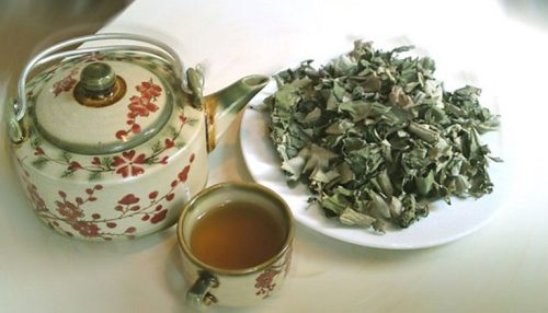 6 loại trà thảo dược dễ làm tại nhà giúp mát gan, ngủ ngon- Ảnh 5.