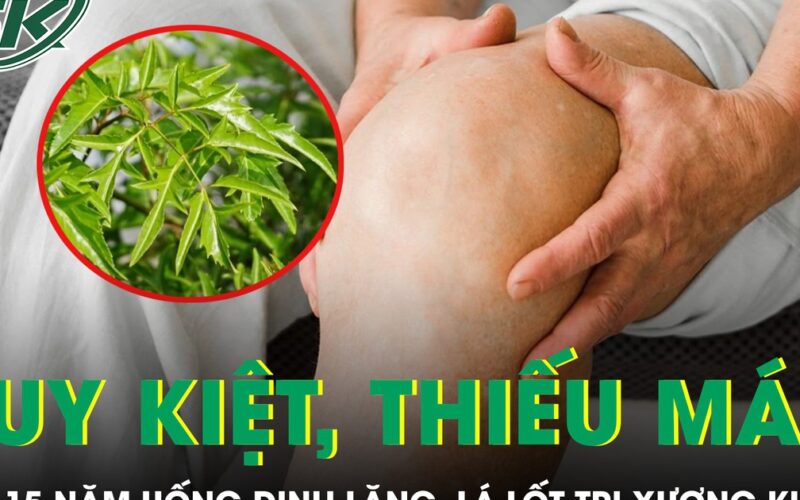 Người đàn ông không thể đi lại sau 15 năm uống đinh lăng, lá lốt trị xương khớp