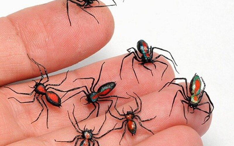 Nhận biết vết côn trùng cắn, đốt và cách xử trí đúng để tránh biến chứng nguy hiểm