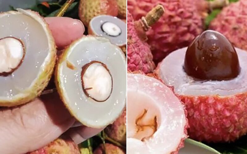 Ăn nhiều nhãn, vải thiều có gây mụn nhọt, hại cho da không?
