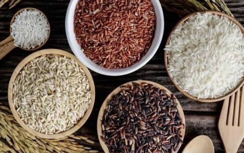 Gạo lứt, gạo đen hay gạo đỏ tốt nhất cho sức khỏe đường ruột và tim mạch?