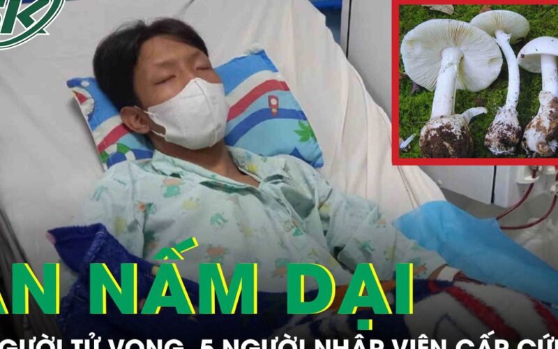 1 người tử vong, 5 người cấp cứu sau khi ăn canh nấm