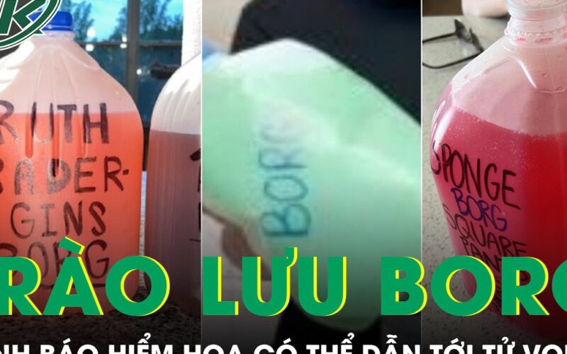 Trào lưu BORG uống bình nước 4 lít pha rượu trên TikTok và cái giá sức khỏe đáng sợ