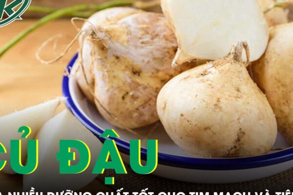 Củ đậu chứa nhiều dưỡng chất tốt cho tim mạch và tiêu hóa