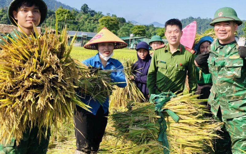 Công an, bộ đội dầm mưa giúp dân cứu lúa sau dông lốc ở Nghệ An