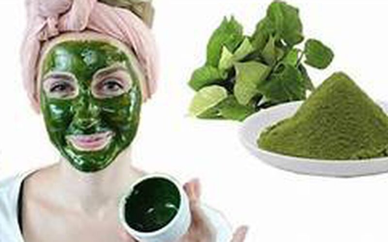 5 cách làm mặt nạ rau diếp cá giúp trị mụn, giảm thâm, làm dịu da mùa hè
