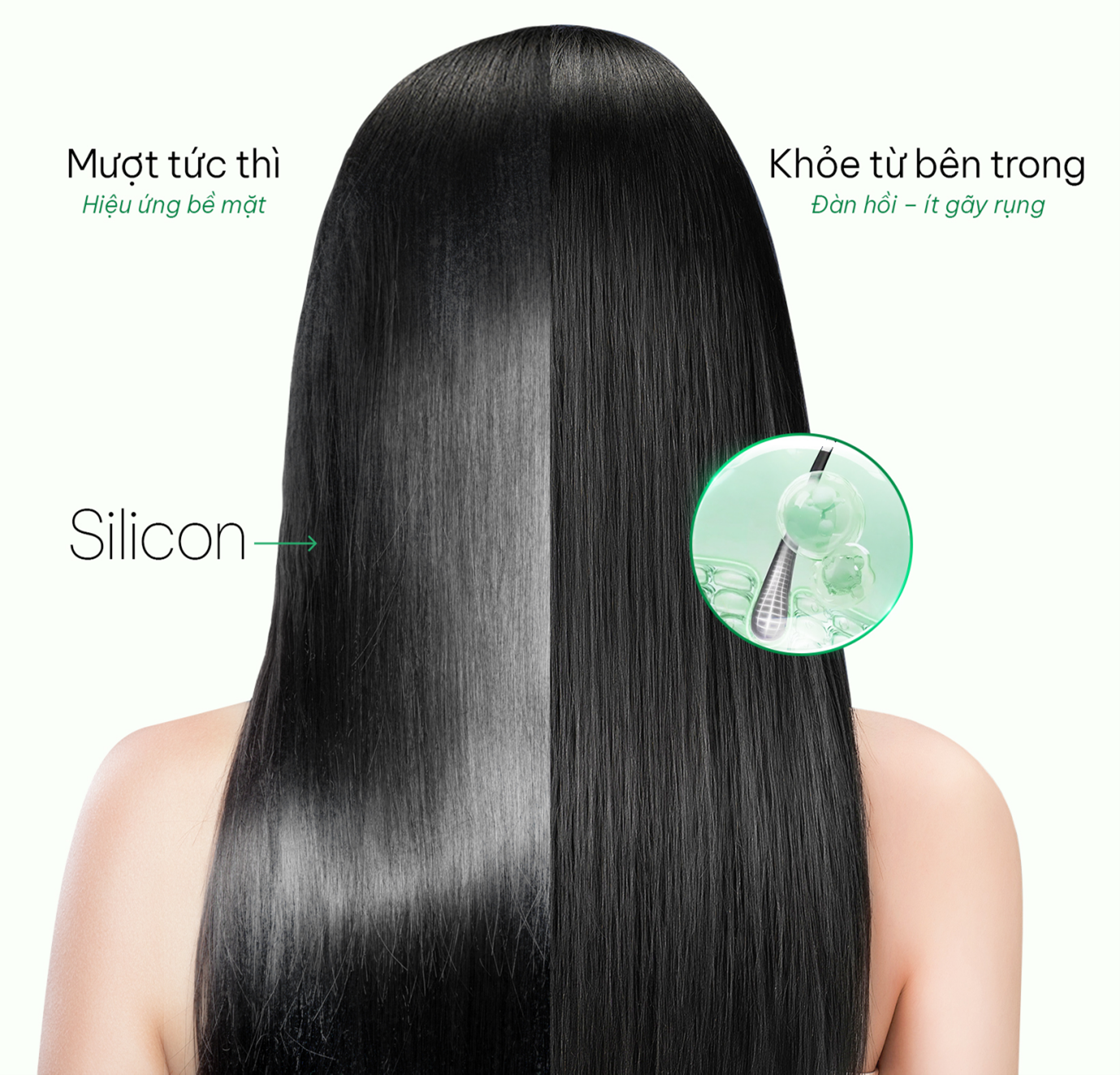 Tóc mượt 'tức thì' hay dày khỏe lâu dài: Sự thật về chứng rụng tóc từ thói quen gội đầu- Ảnh 1.