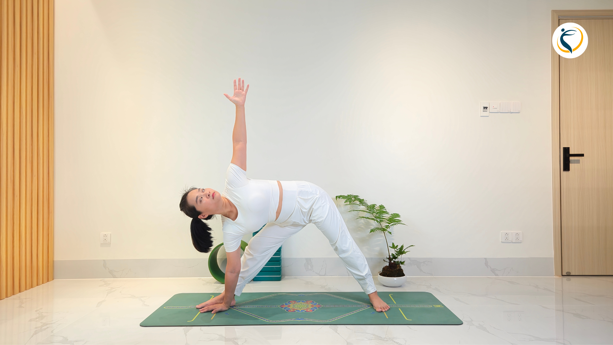 ungvaloiichtuyetvoichocotsong0820bdbff2a24f7890232b3a9c69f633-17797184130231501034559 4 tư thế yoga nên tập vào buổi sáng giúp tăng độ dẻo dai, hỗ trợ giảm đau lưng- Ảnh 1.