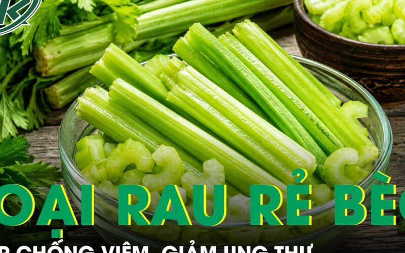 Loại rau rẻ bèo giúp chống viêm, giảm ung thư