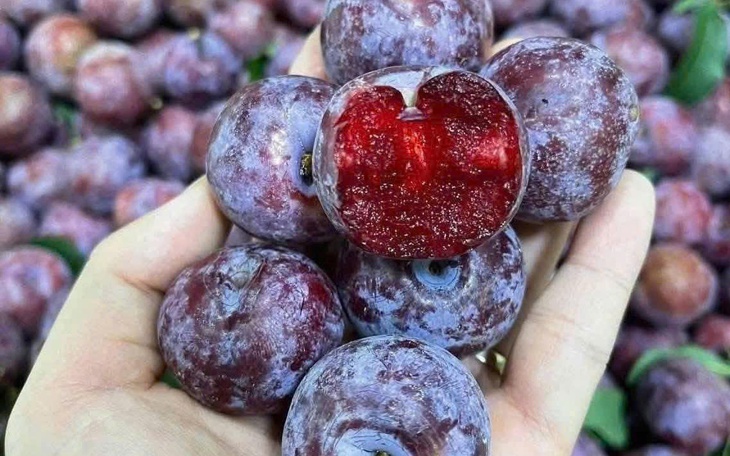 Tết Đoan ngọ ăn mận và vải có diệt sâu bọ được không? - Ảnh 2.