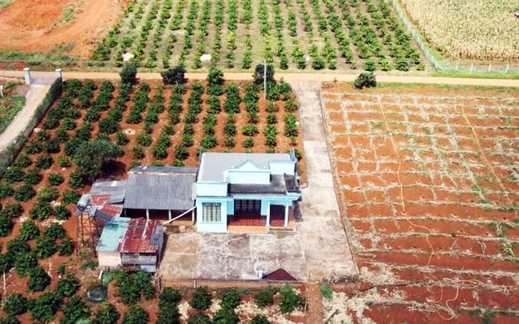 Đất không giấy tờ, không tranh chấp, thủ tục cấp sổ đỏ lần đầu thế nào?- Ảnh 2.