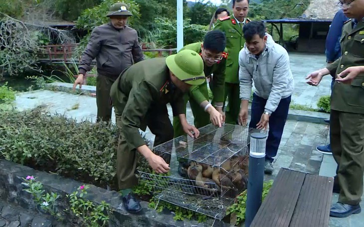 Ra mắt 'Trung tâm Thiên nhiên lưu động' đầu tiên trên thế giới tại Ninh Bình- Ảnh 4.