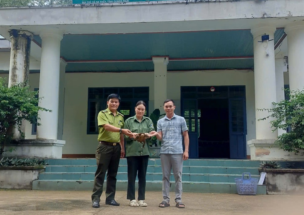 Người dân phát hiện 'loài vật rất quý' liền mang về giao nộp cho chính quyền- Ảnh 1.
