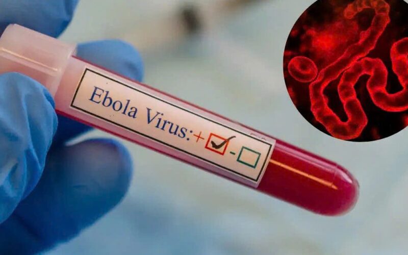 Dịch bệnh Ebola diễn biến phức tạp tại Châu Phi nhưng người dân không nên hoang mang