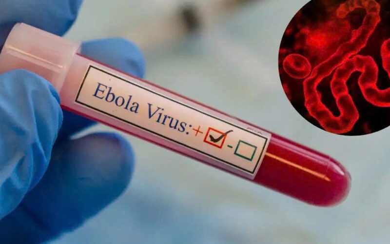 WHO cảnh báo khẩn về Ebola, Bộ Y tế yêu cầu tăng cường giám sát, ngăn dịch xâm nhập