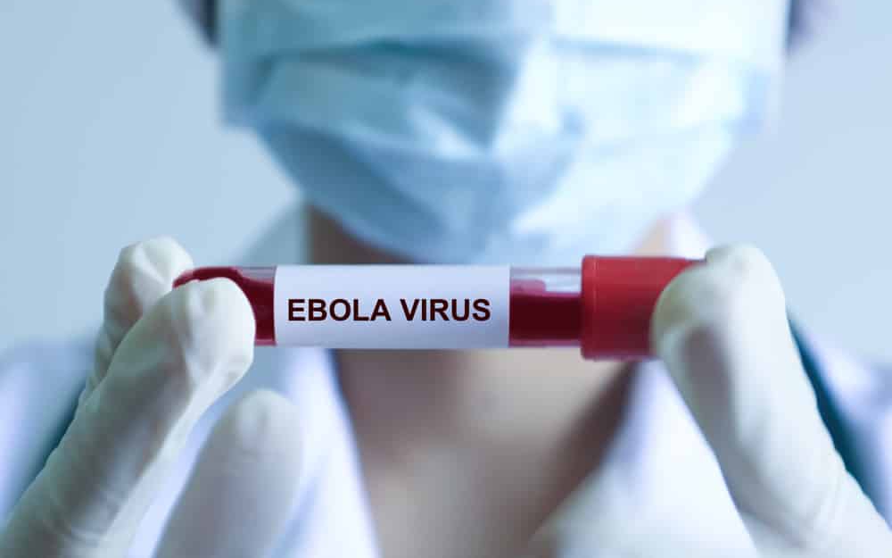 Dịch bệnh Ebola diễn biến phức tạp tại Châu Phi nhưng người dân không nên hoang mang- Ảnh 2.
