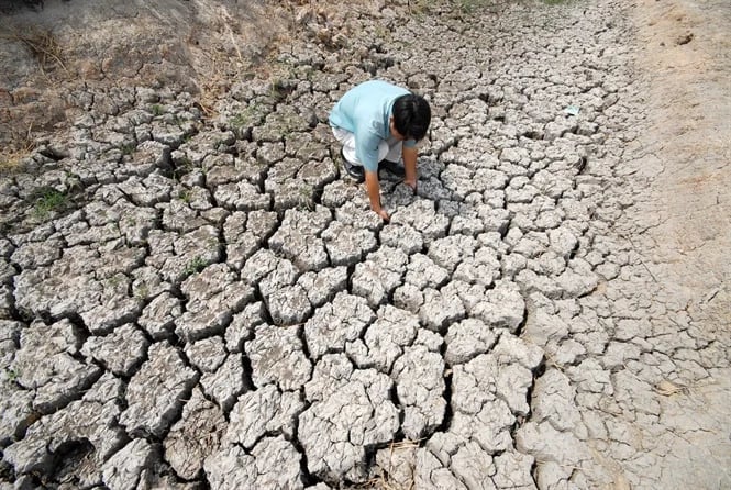el-nino-gay-nang-nong-han-han-khoc-liet-1781665853544404052914 - Ảnh 1.