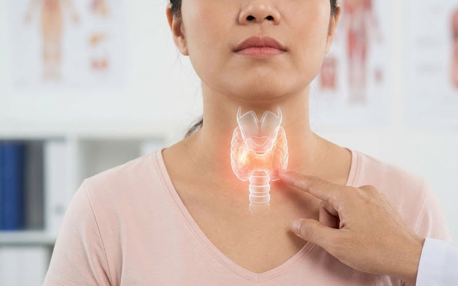 so-do-tuyen-giap-o-co-vi-tri-cua-tuyen-quan-trong-dieu-chinh-trao-doi-chat-va-hormone-1769054427819827323888-0-0-562-899-crop-17784267306711690494236 Sau cắt tuyến giáp, vì sao nguy cơ loãng xương tăng cao?