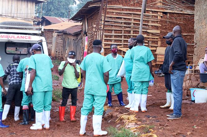 Tổng giám đốc WHO cảnh báo dịch Ebola ‘đang vượt khỏi khả năng kiểm soát’- Ảnh 2.