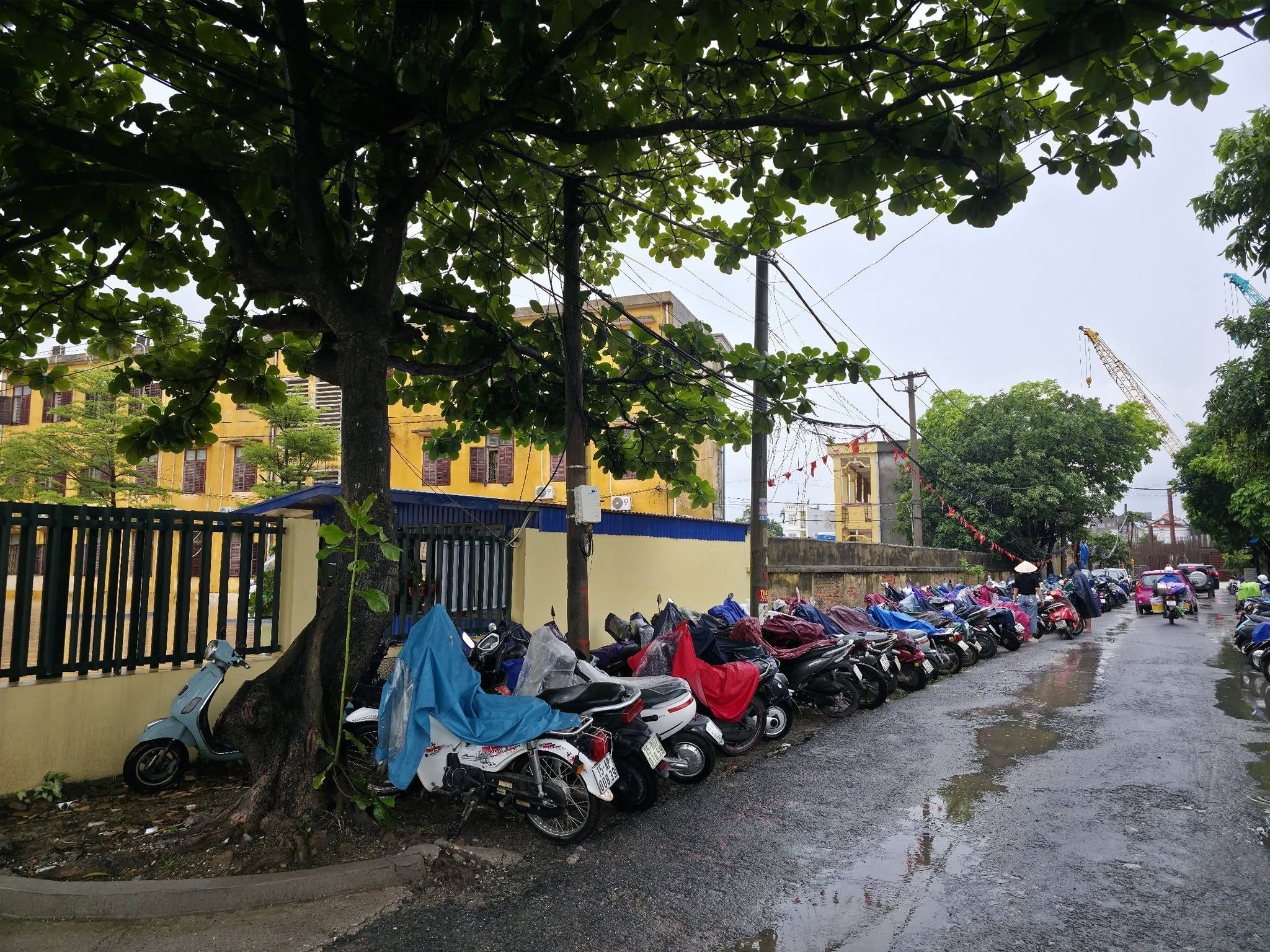 Cây cầu đặc biệt giữa sân trường ngập nước ở Hải Phòng gây xúc động mạng xã hội- Ảnh 6.